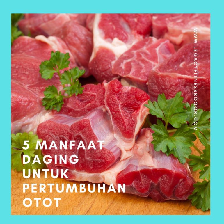 🥩 Fakta Daging Sapi: Bukan Sekedar Protein, Ini 5 Manfaatnya untuk Pertumbuhan Otot & Daya Tahan Tubuh